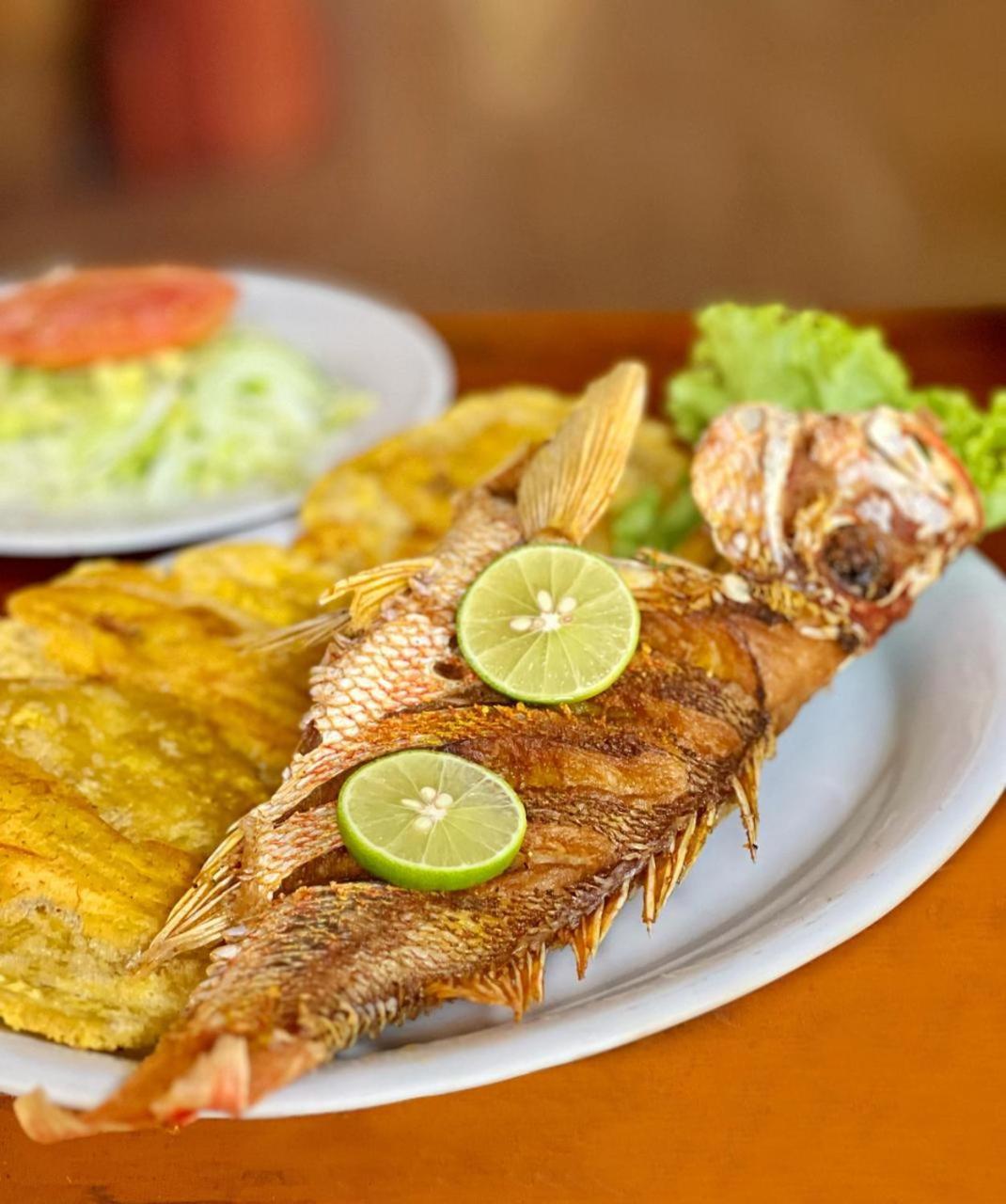 Arca Tayrona Restaurant & Hostal Los Naranjos Dış mekan fotoğraf
